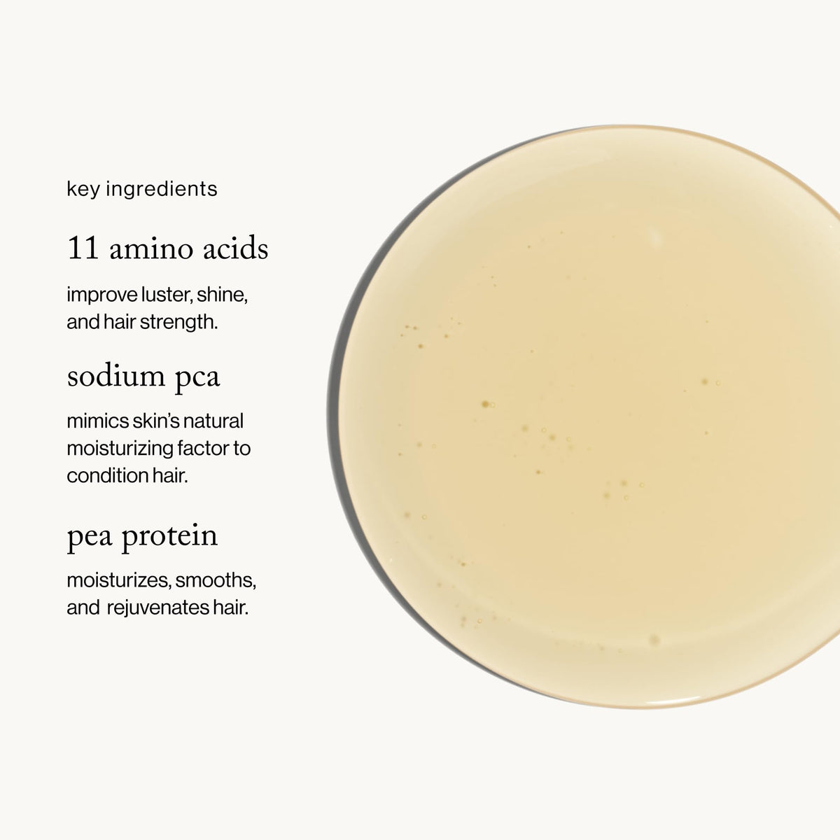 Hydrolyzed pea protein graphic emphasizing hair hydration and conditioning