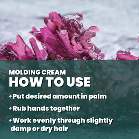 Great Clips Latitude application shows how to work through damp or dry hair.