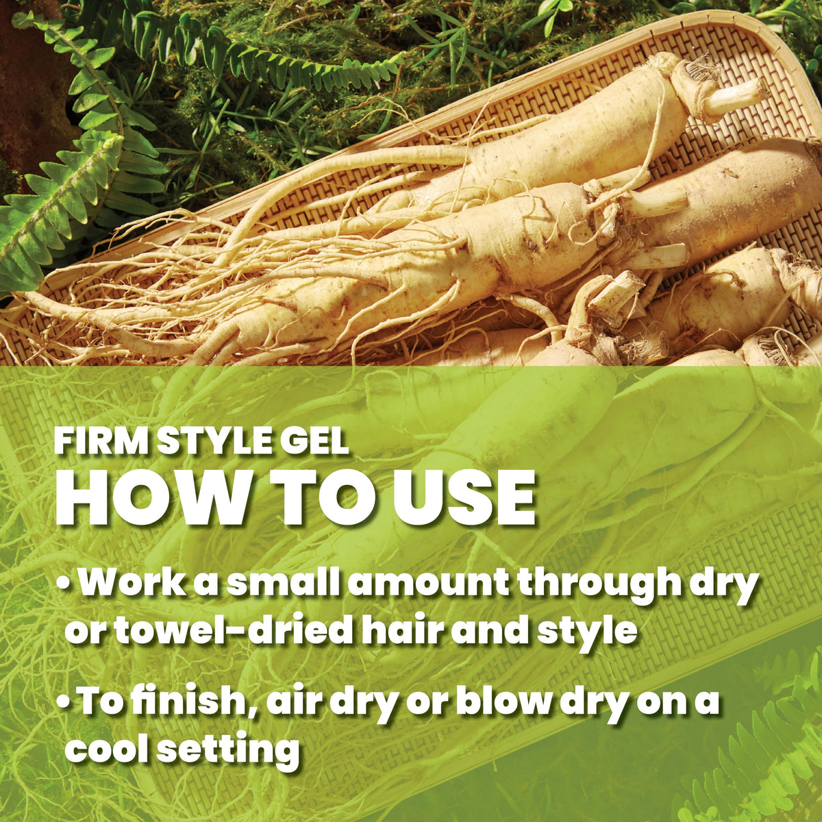 GREAT CLIPS Latitude gloss on hair demonstrates shine and style hold.