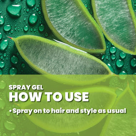 Great Clips Latitude Spray Gel packaging variation shown for reference.
