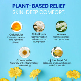 Green Goo Dry Skin Salve calendar chamomile ingredients illustrates soothing botanical blend.