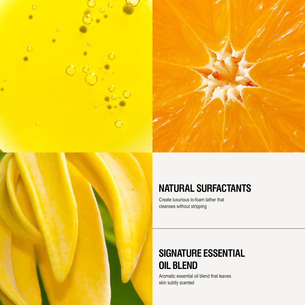 Grown Alchemist Aloe Vera hydration detail supports soft, comfortable skin.