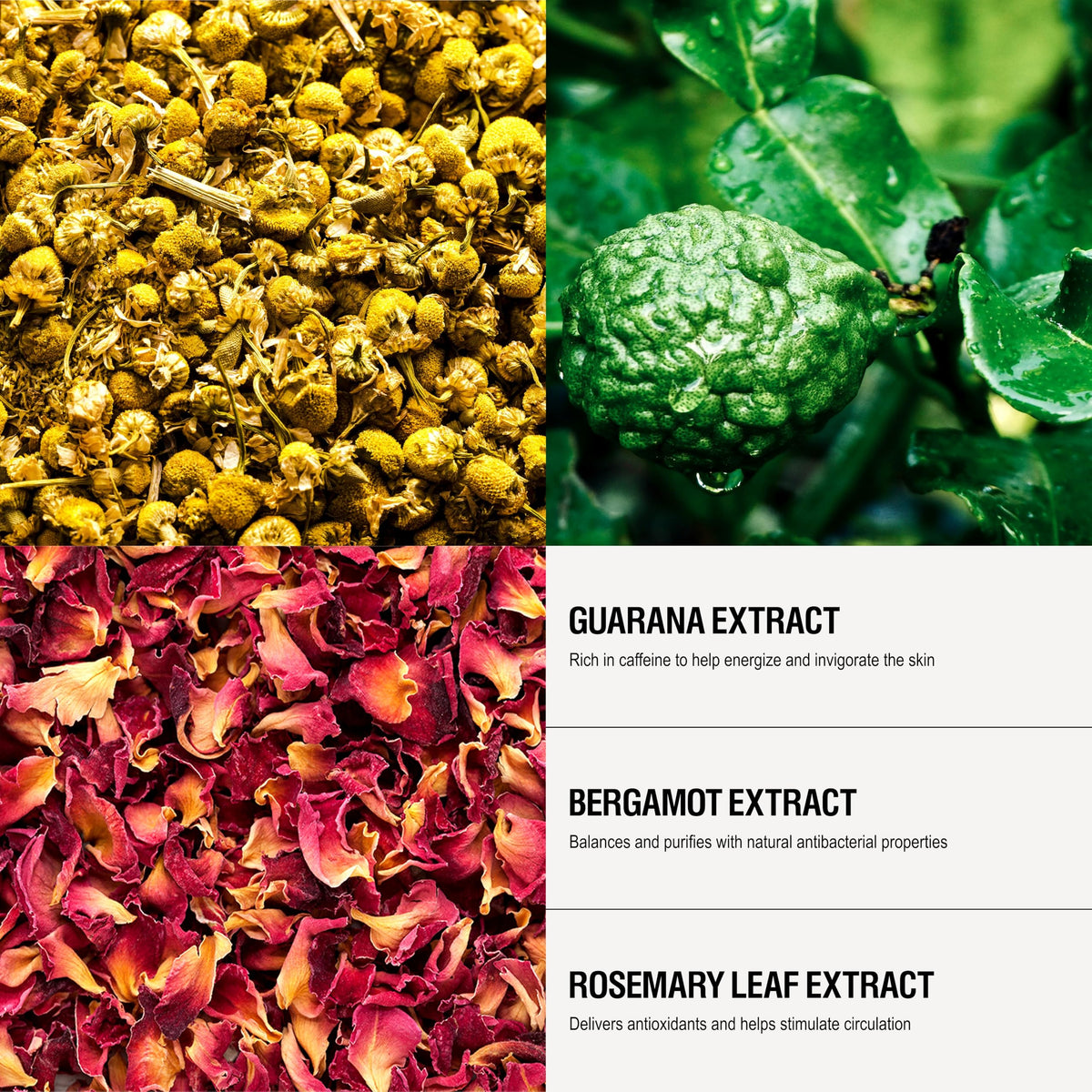 Grown Alchemist Energize chamomile close-up emphasizes calming, skin-friendly cleansing.