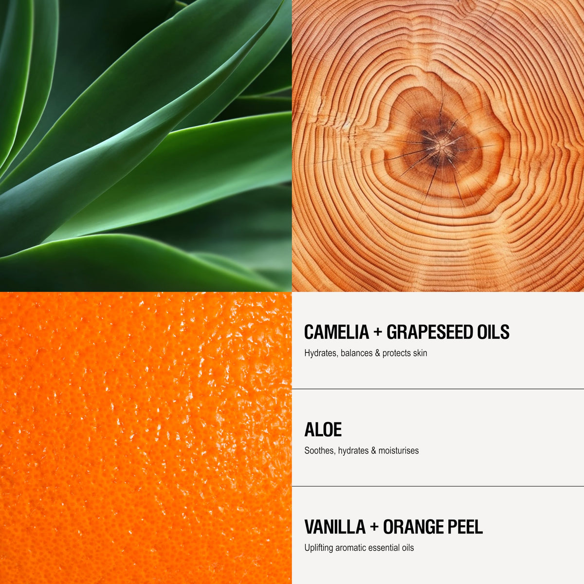 Bottle highlighting vanilla and orange peel notes for subtle fragrance
