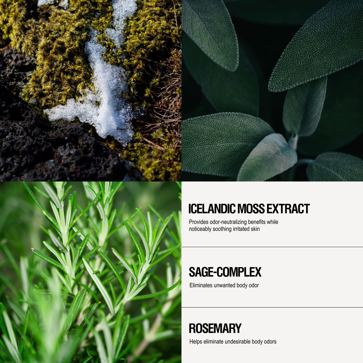 Grown Alchemist ingredients: Icelandic moss and sage highlight odor-neutralizing botanicals.