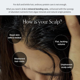 Hair thickening visual with GROWUS Algae Therapy shampoo for fuller roots
