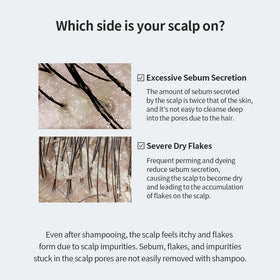 GROWUS Sea Salt Therapy mineral sea salt ingredients highlighted for cleansing