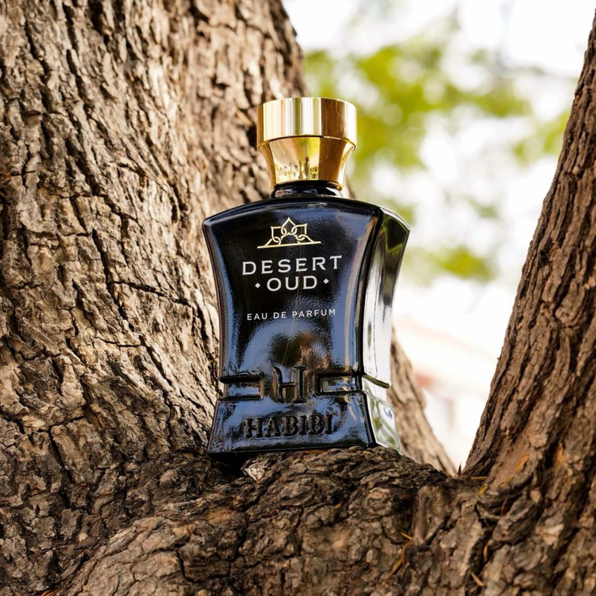 H HABIBI Desert Oud heart notes of jasmine and rose.