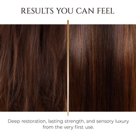 HADAT shampoo with seaweed extract and shea butter ingredients for natural moisture.
