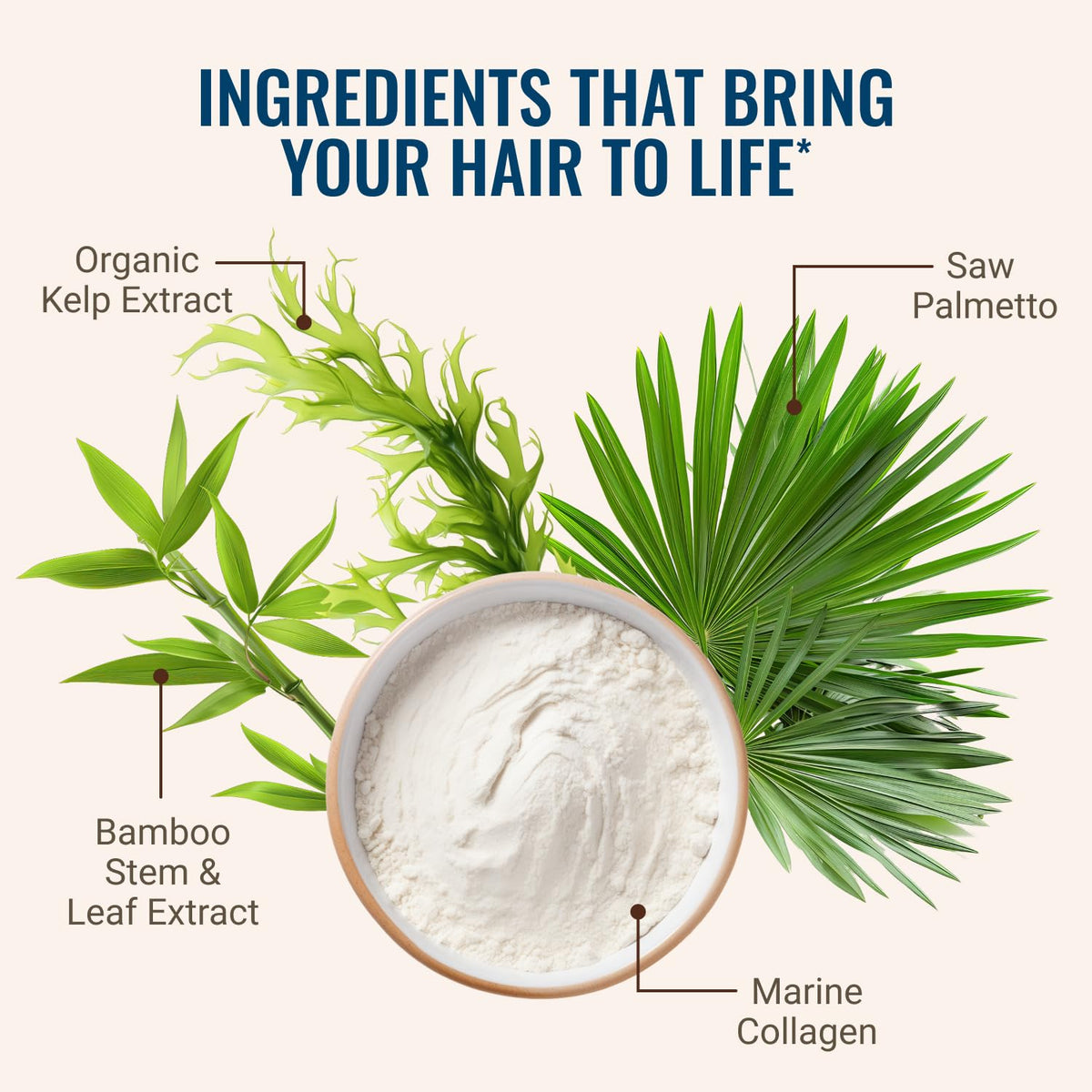 Borage oil included in Live Conscious blend for hair shine potential
