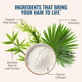 Borage oil included in Live Conscious blend for hair shine potential