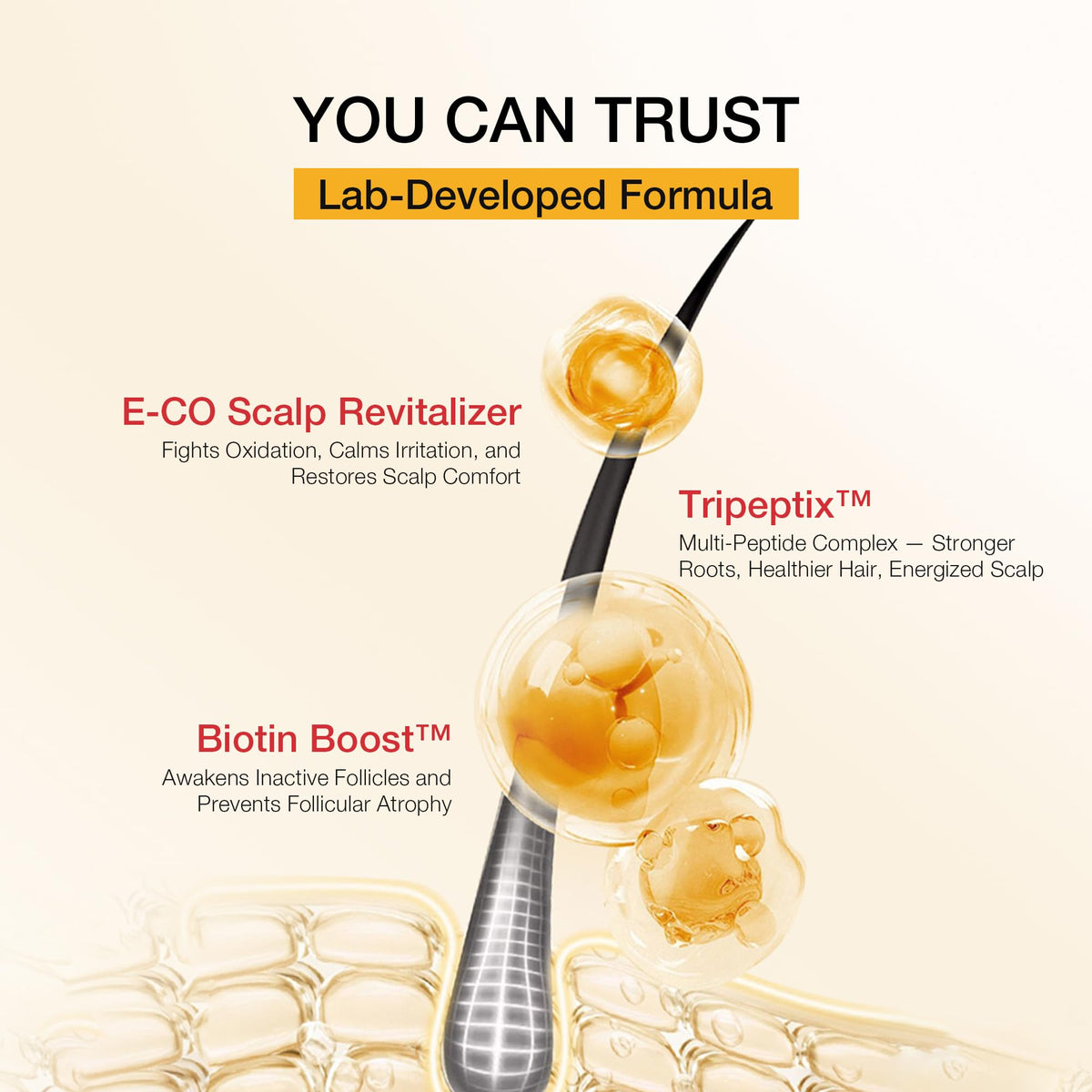 Hair Labs shampoo with keratin boosts strand resilience and reduces breakage.