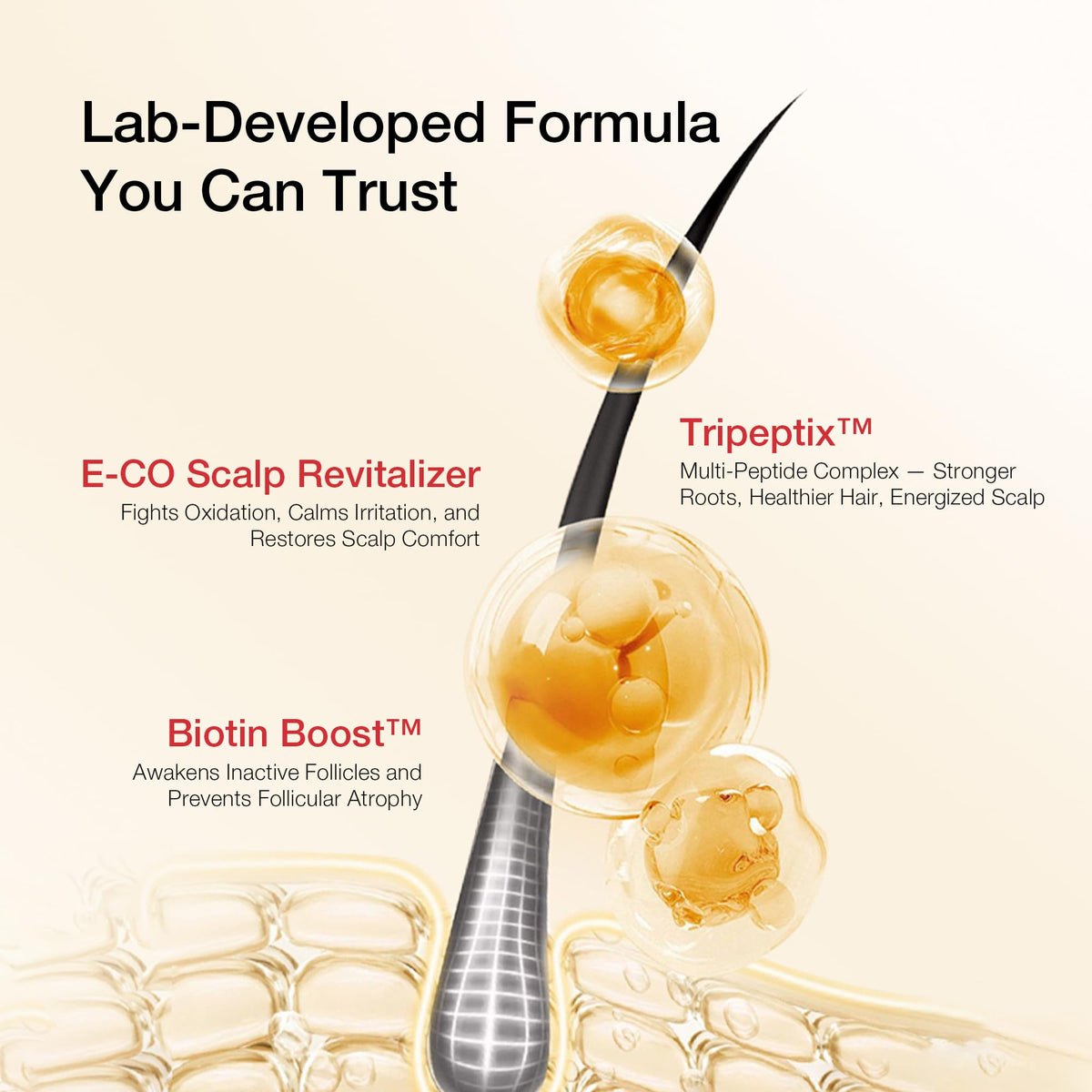 Hair Labs Biotin Peptide Shampoo shown in daily routine for hair health.