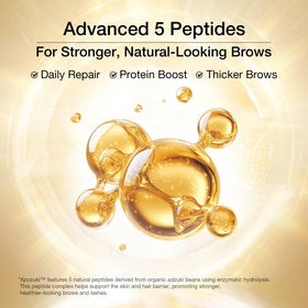 Hair Labs Resurrection Plant extract visual emphasizes revival of dormant brow follicles