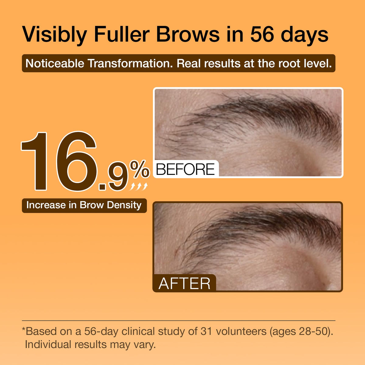 Hair Labs Roll-on application on brow line highlights mess-free, easy-to-use design