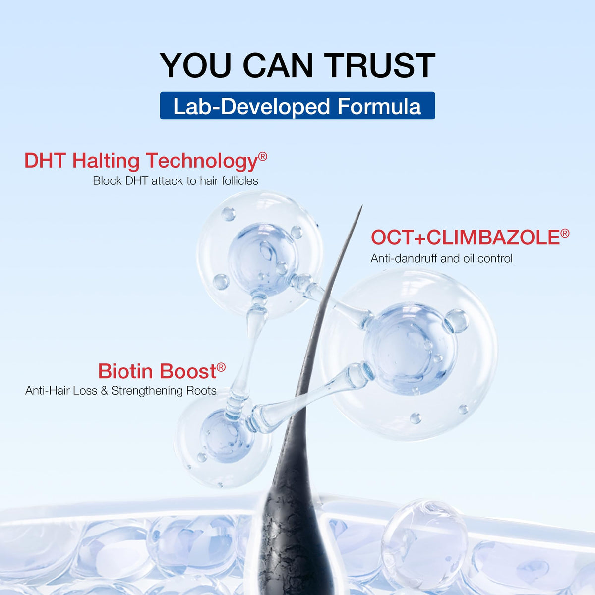 Hair Labs sulfate-free packaging signals gentle cleansing for color-treated hair