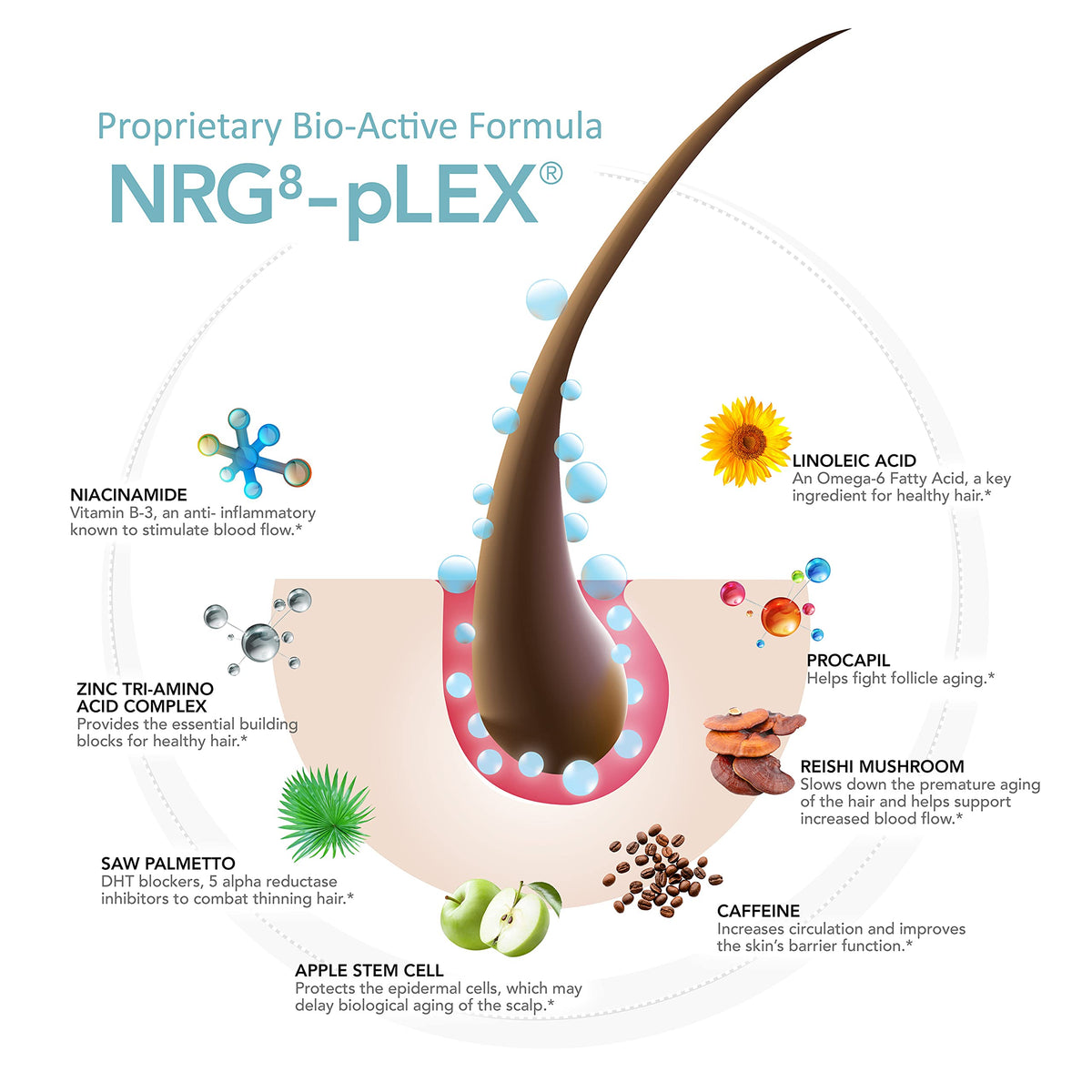 Hairmax Acceler8 ingredients graphic highlighting caffeine and Niacinamide.