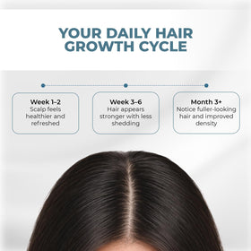 HAIRMETTO Rosemary oil aroma visual hints at aromatic scalp care