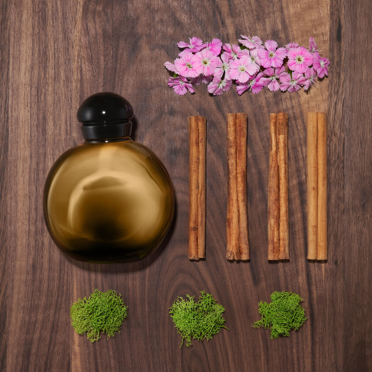 Halston Z-14 close-up reveals amber-cedar base and woody-aromatic notes.