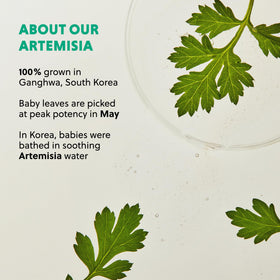 Hanyul Artemisia Cleansing Oil removes waterproof makeup and impurities