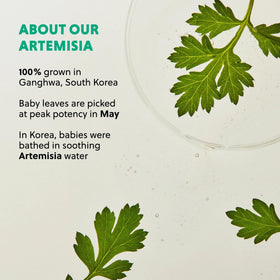 Hanyul Artemisia ingredients include hyaluronic acids and glycerin.