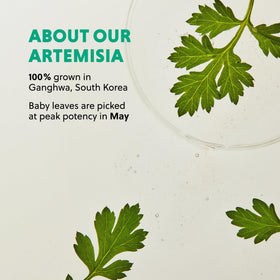 HANYUL Artemisia toner pads packaging shown for easy daily use.