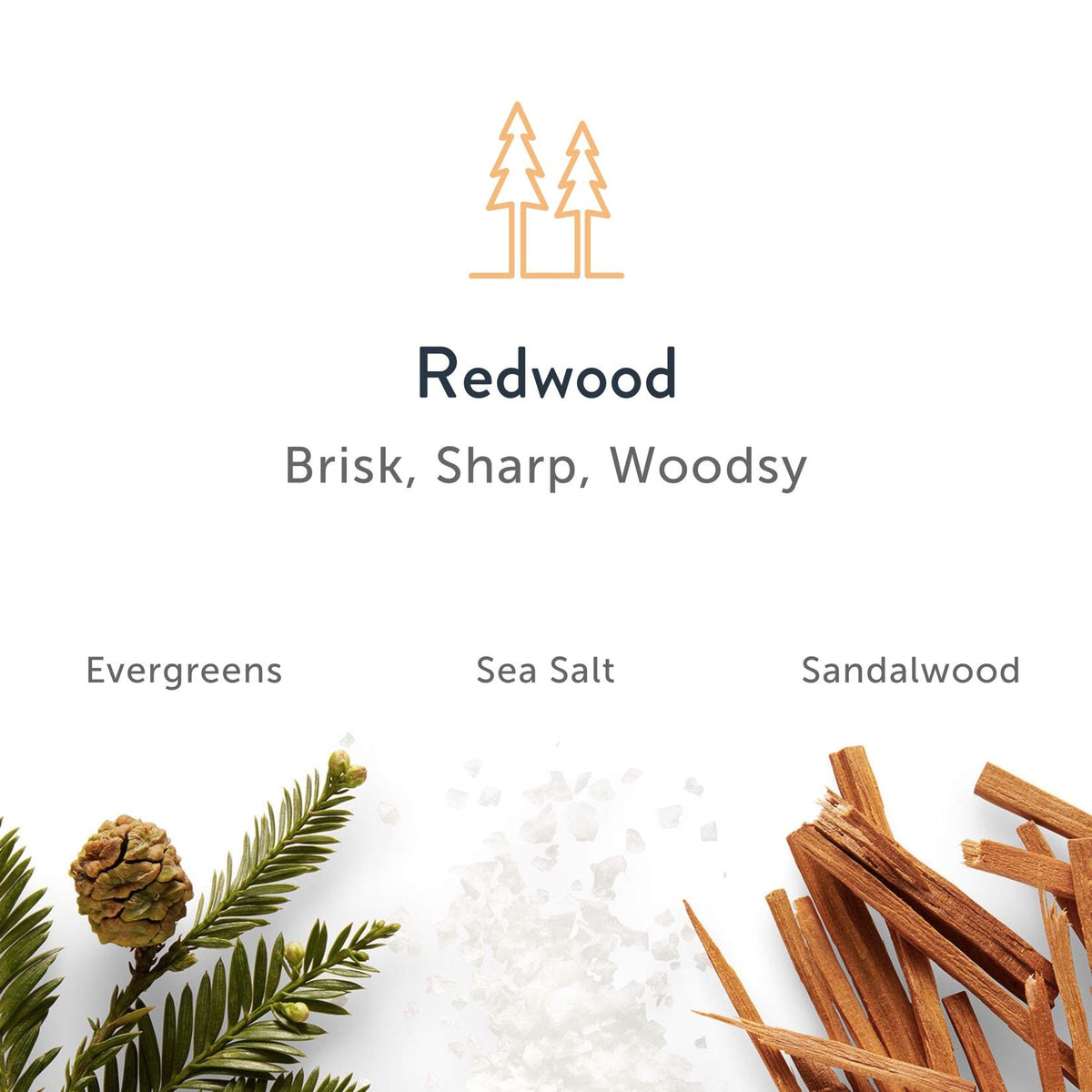 Harry's Redwood gift-set for men, a thoughtful holiday option.