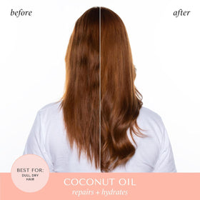 HASK Argan Oil Deep Conditioner packette close-up for moisture restoration