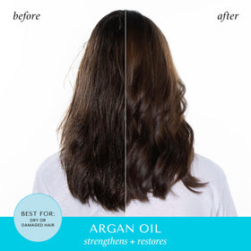 HASK argan oil repair deep conditioner packette nourishes and detangles