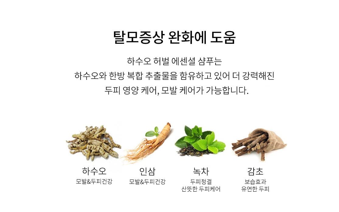 Hasuo routine setup image shows daily hair care with the shampoo.