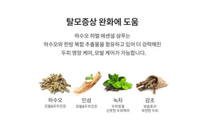 Hasuo routine setup image shows daily hair care with the shampoo.