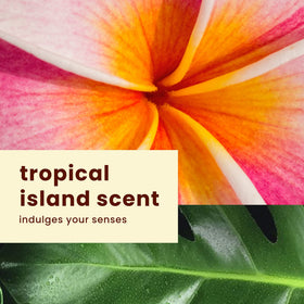 Hawaiian Tropic Silk Hydration pack packaging display.