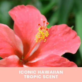 Hawaiian Tropic Sunless Tan Foam tropical scent enhances your tanning ritual.