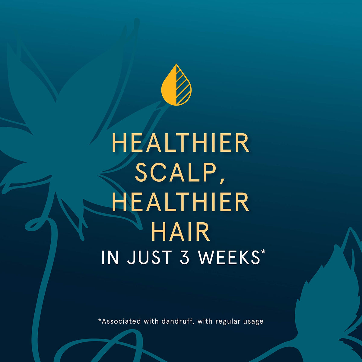 Head & Shoulders Royal Oils Frizz Tamer applied along edges for frizz control under protective styles