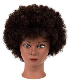 Headdoll Afro curly mannequin head for dyeing and bleaching demonstrations with natural texture.