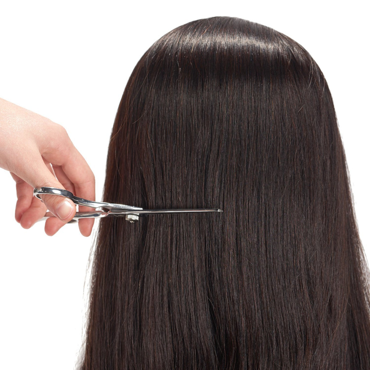 Headwinn styling scenario demonstrating curling and braiding practice possibilities.