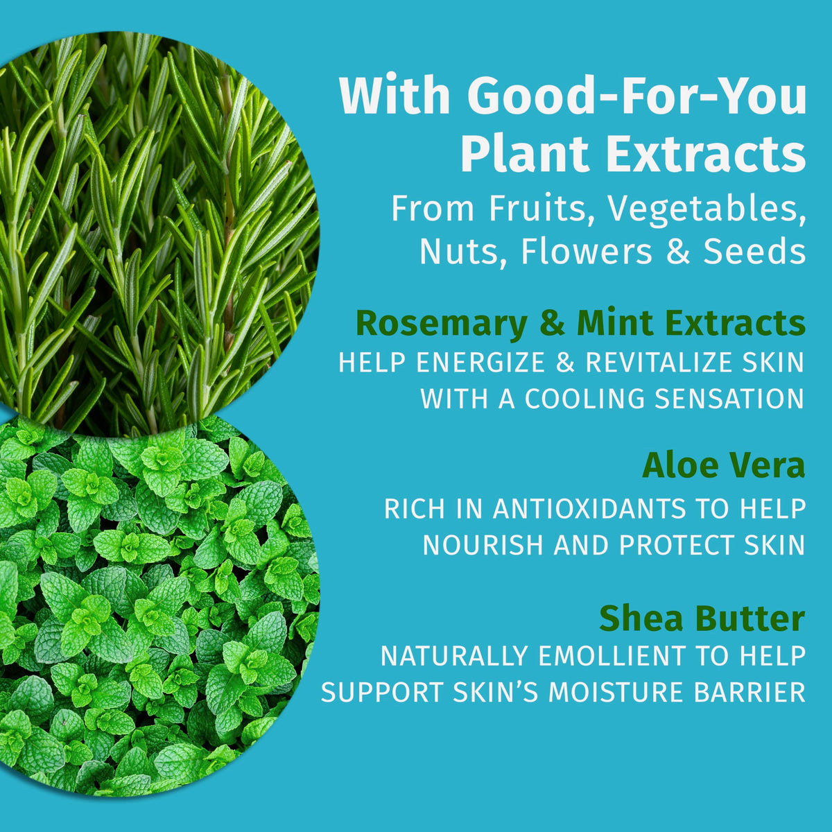Applying Hempz Rosemary & Mint cream supports daily skin comfort.