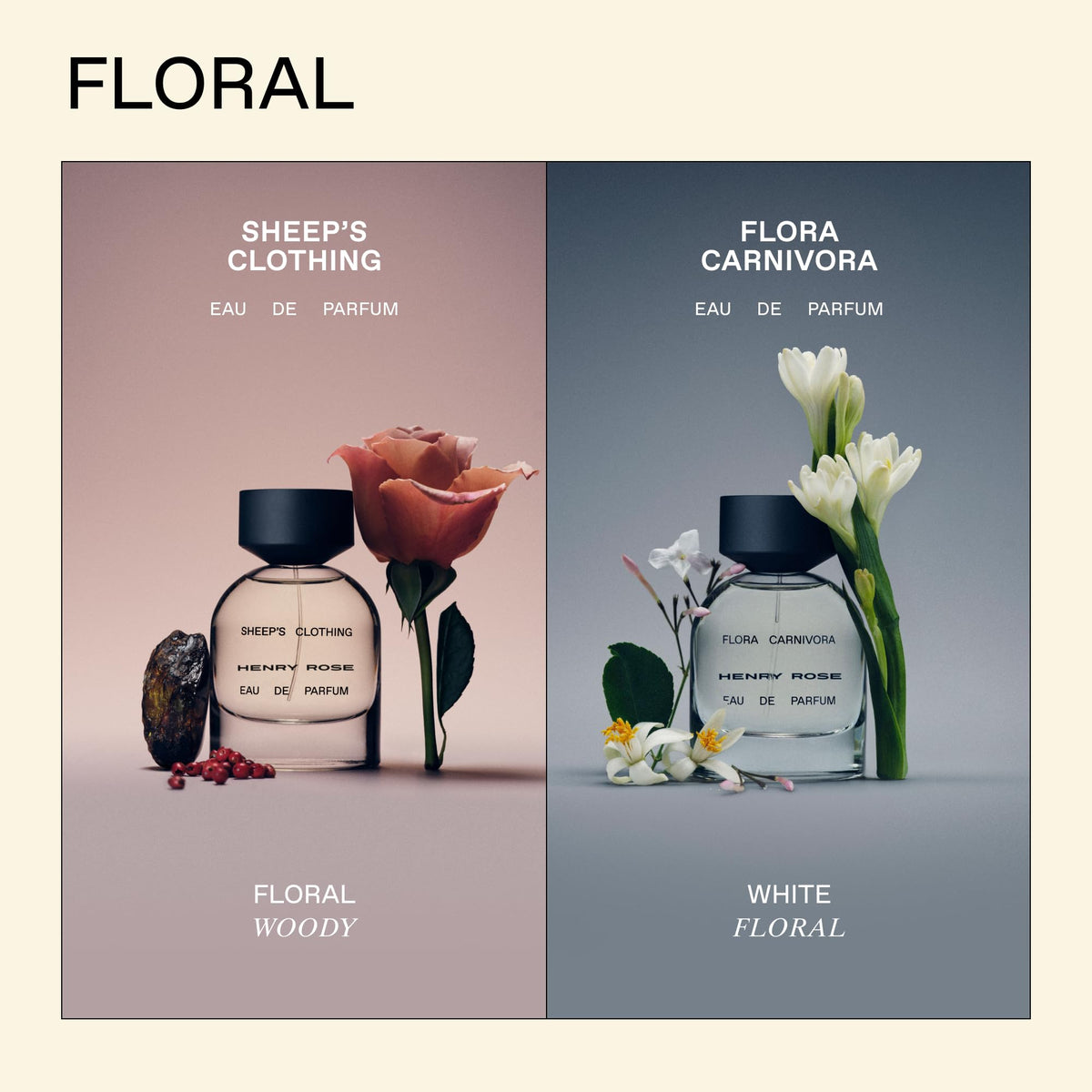 Ingredients close-up highlights jasmine, orange blossom, and vetiver for a clean scent profile.