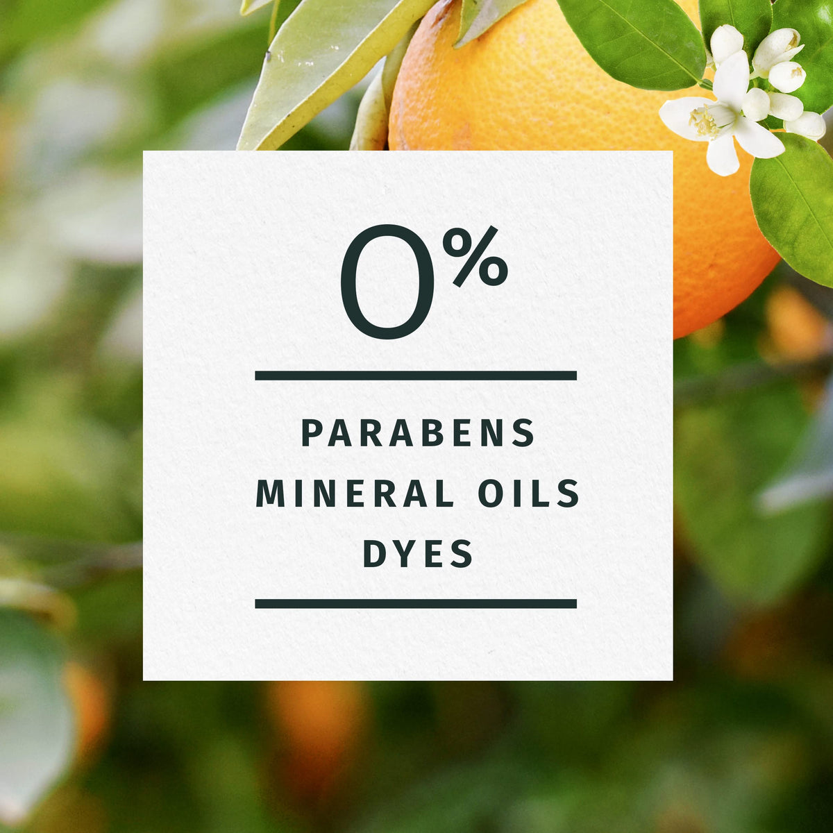 Herbal Essences Orange Citrus Blossoms daily-use setup for fresh voluminous hair