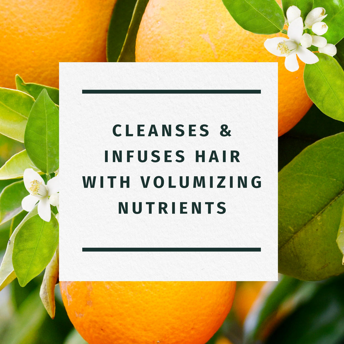 Herbal Essences Orange Citrus Blossoms lather in hand demonstrating cleansing and volume