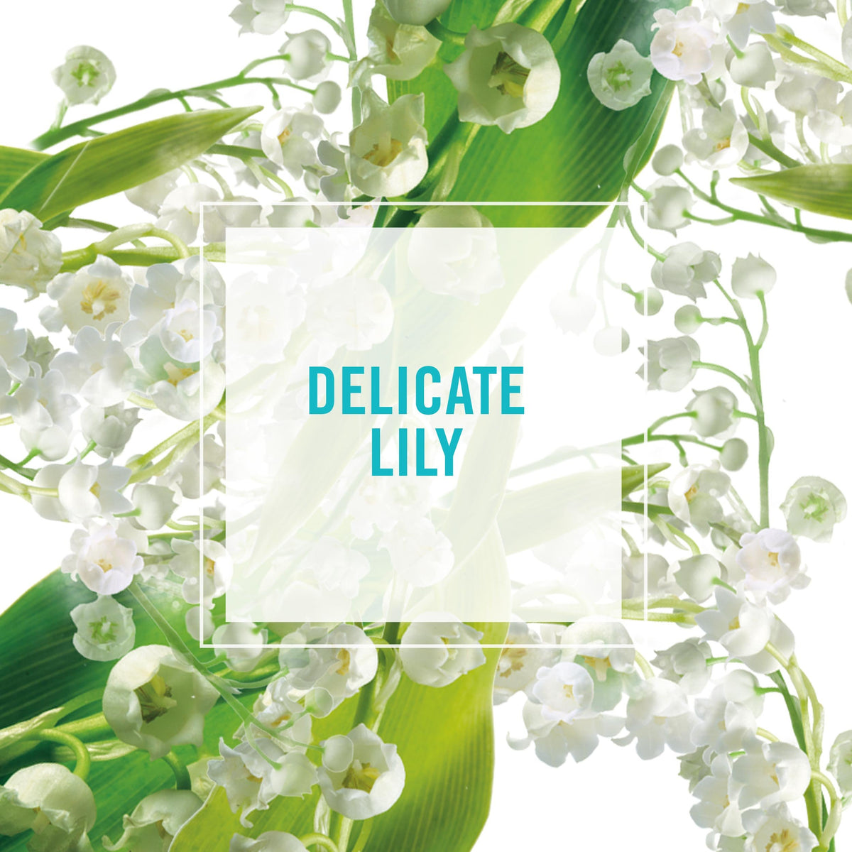 Herbal Essences Set Me Up bottle with Lily of the Valley scent for subtle fragrance.