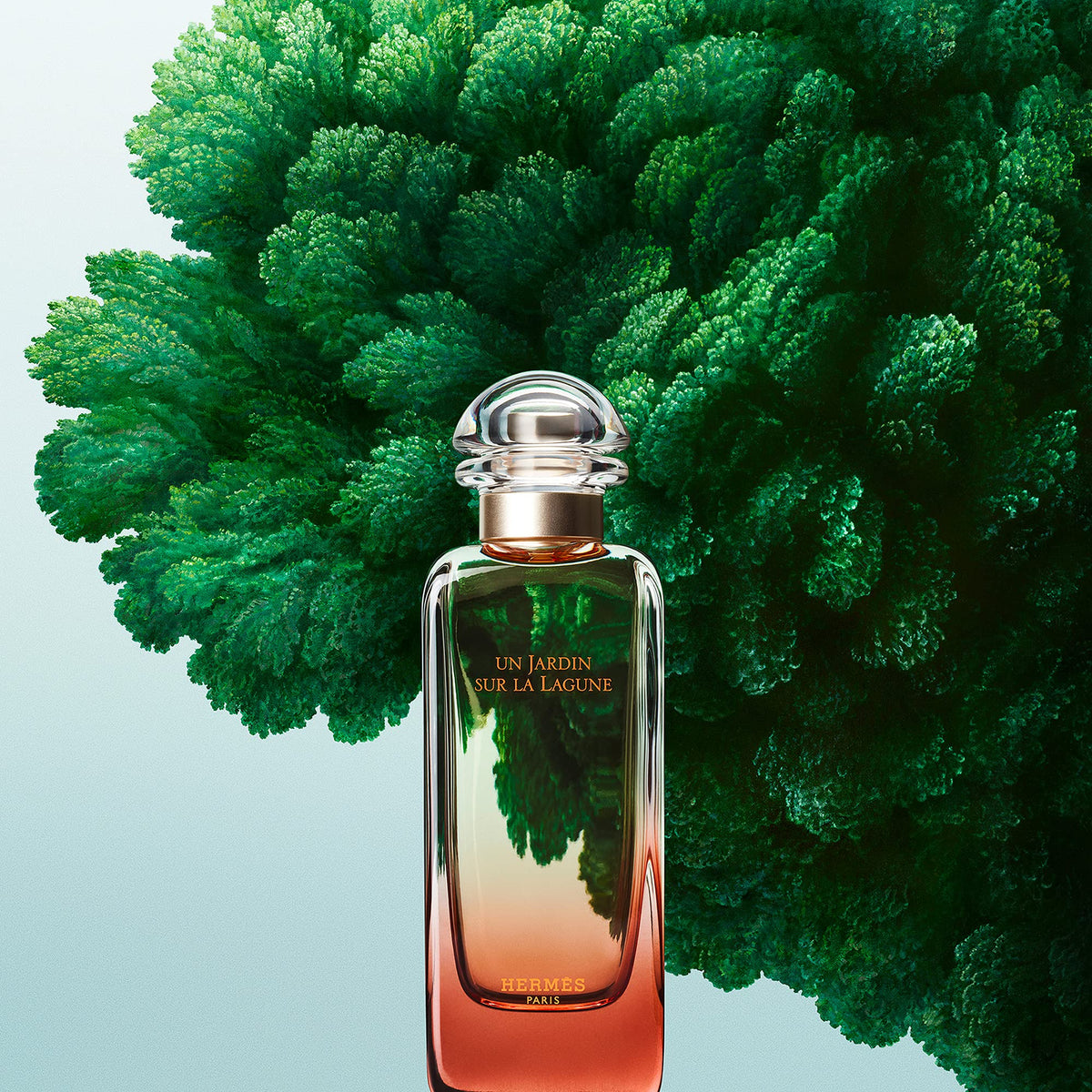 Close-up of Un Jardin Sur La Lagune label, premium aura and floral notes.