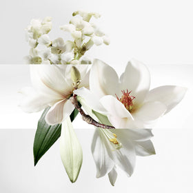 Un Jardin Sur La Lagune box packaging, refined Hermes presentation.
