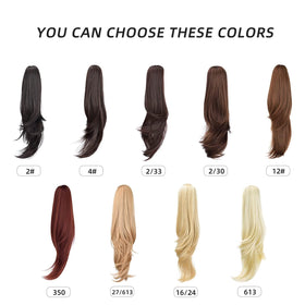 HEWEICSY ponytail suitable for live shows and performances