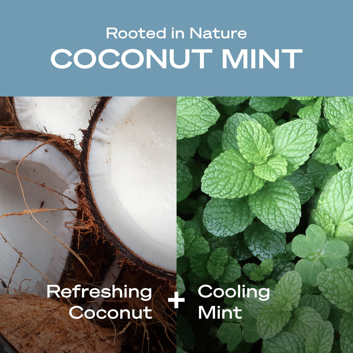 Hey Humans Coconut Mint Body Wash label closeup emphasizes natural ingredients and clean formula.