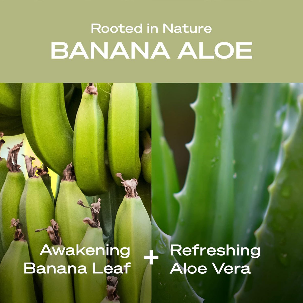 Hey Humans deodorant ingredients coconut oil rosemary arrowroot for gentle odor control.