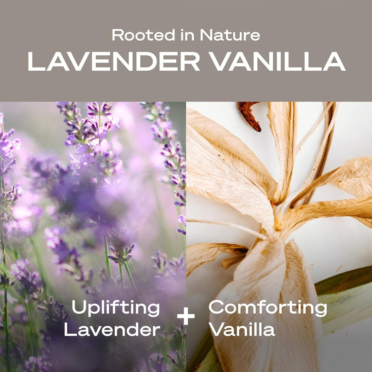 Hey Humans deodorant lavender vanilla vegan cruelty-free badge on packaging for an ethical choice.