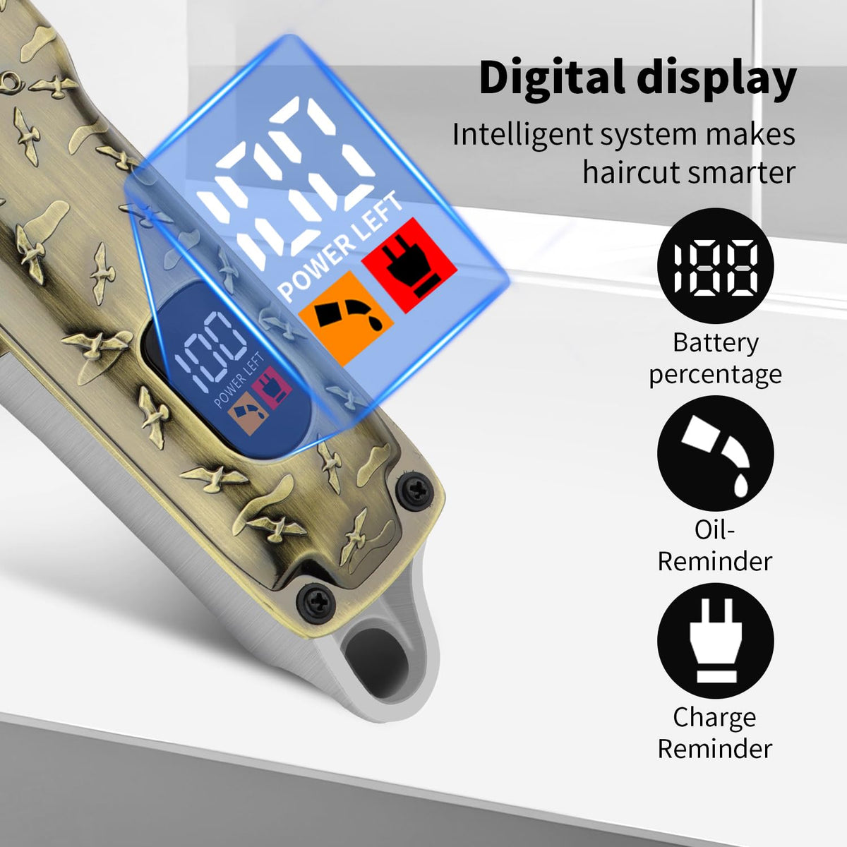 Hiena Pro Smart LED display shows battery status and reminders.