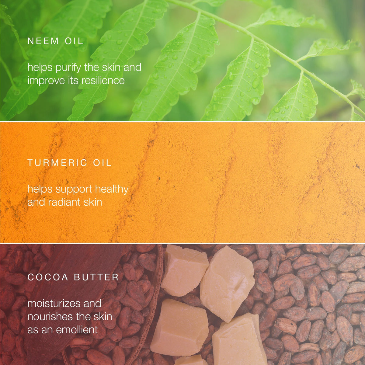 Himalaya Botanique Neem Turmeric Bar four-pack ready for travel or sharing