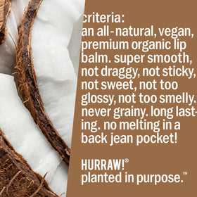 Back-label of Hurraw! Coconut Lip Balm with certifications.